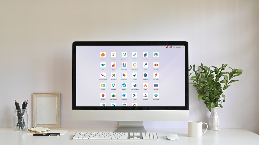 Consultoría en Odoo (1 hora)